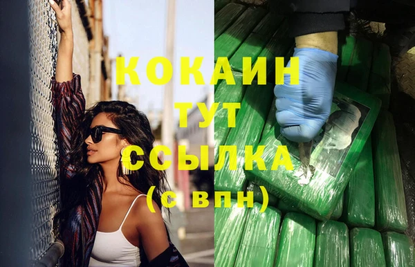 ГАЛЛЮЦИНОГЕННЫЕ ГРИБЫ Гусиноозёрск