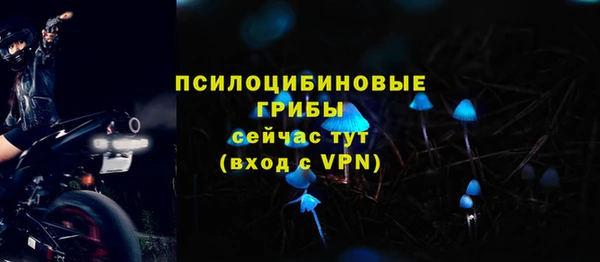 ГАЛЛЮЦИНОГЕННЫЕ ГРИБЫ Гусиноозёрск