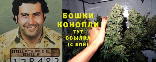 ГАЛЛЮЦИНОГЕННЫЕ ГРИБЫ Гусиноозёрск