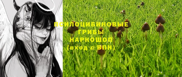 ГАЛЛЮЦИНОГЕННЫЕ ГРИБЫ Гусиноозёрск
